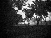 Asadur Rahman Photography