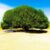 Profile picture of আব্দুর রউফ