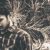 Profile picture of শাহারিয়া স্পেকট্রা