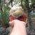 Profile picture of খালেদা মিম