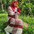 Profile picture of Dalia Al Mim