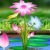 Profile picture of Rabia Akter