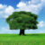 Profile picture of প্রদীপ্ত লুব্ধক