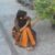 Profile picture of Nishat Jahan