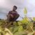 Profile picture of Jahin Hashem Chowdhury