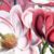 Profile picture of Tasnova Hossain