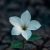 Profile picture of নতুন করে শুরু