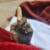 Profile picture of আ.ক.ম. আবু সাইদ