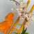 Profile picture of সুফলা