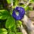 Profile picture of অন্তরা