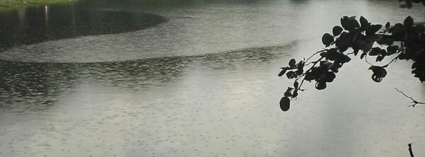 অমিতাভ প্রহরাজ